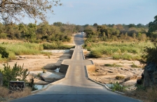 Straße im Krüger Nationalpark