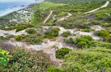 Seal Bay