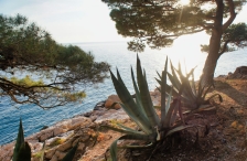 Makarska