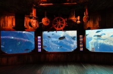 uShaka Marine World