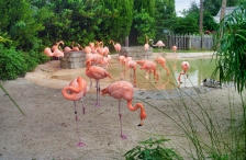 SeaWorld Orlando