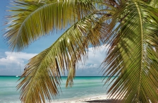 Isla Saona