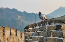 Chineschische Mauer
