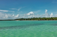 Isla Saona